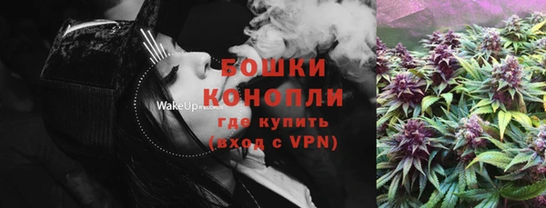 не бодяженный Ладушкин