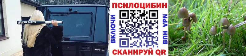 omg онион  хочу наркоту  Миллерово  Галлюциногенные грибы Magic Shrooms 
